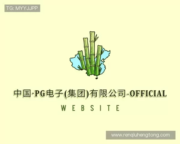 关于pg电子